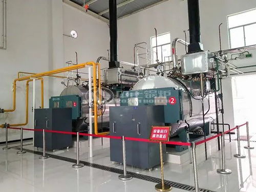 與又一省級名企合作 中正燃氣鍋爐助推水產品深加工發展