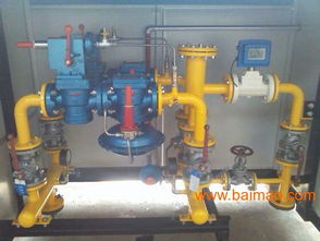 遼寧朝陽(yáng)RTJ 50 1.6S型燃?xì)庹{(diào)壓器 生產(chǎn)廠家與價(jià)格解析